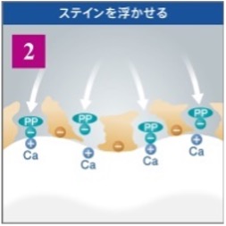 2.ステインを浮かせる